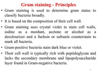 Gram staining - Principles
• Gram staining is used to determine gram status to
classify bacteria broadly.
• It is based on the composition of their cell wall.
• Gram staining uses crystal violet to stain cell walls,
iodine as a mordant, acetone or alcohol as a
decolourizer and a fuchsin or safranin counterstain to
mark all bacteria.
• Gram-positive bacteria stain dark blue or violet.
• Their cell wall is typically rich with peptidoglycan and
lacks the secondary membrane and lipopolysaccharide
layer found in Gram-negative bacteria.
10
 