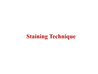 Staining Technique
 