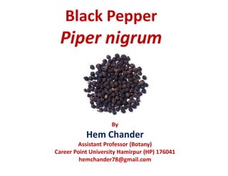 Black Pepper
Piper nigrum
By
Hem Chander
Assistant Professor (Botany)
Career Point University Hamirpur (HP) 176041
hemchander78@gmail.com
 