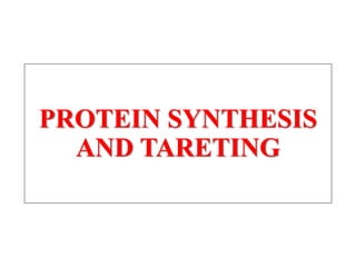 PROTEIN SYNTHESIS
AND TARETING
 