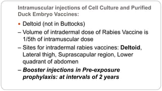 Intramuscular Injection Rabies Rabies a zoonotic disease transmitted to human being by a rabid animal ...