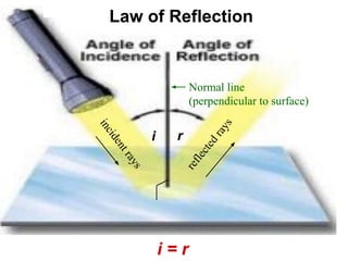13. optics.pdf