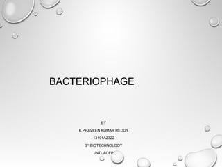 BACTERIOPHAGE
BY
K.PRAVEEN KUMAR REDDY
13191A2322
3RD
BIOTECHNOLOGY
JNTUACEP
 
