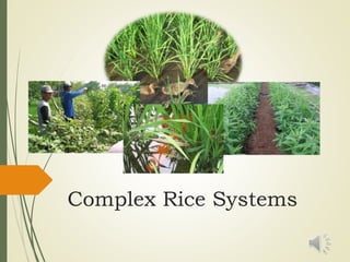 13. Example of sustainable agriculture in practice - Update (1).pdf