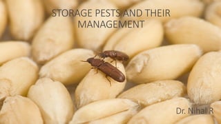 STORAGE PESTS AND THEIR
MANAGEMENT
Dr. Nihal R
 