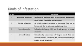 Infested Definition 13.-STORAGE-PESTS.pdf pests in wheat and pulses | PDF
