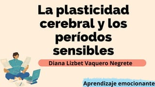La plasticidad
cerebral y los
períodos
sensibles
Aprendizaje emocionante
Diana Lizbet Vaquero Negrete
 