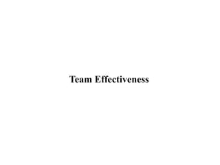 Team Effectiveness
 