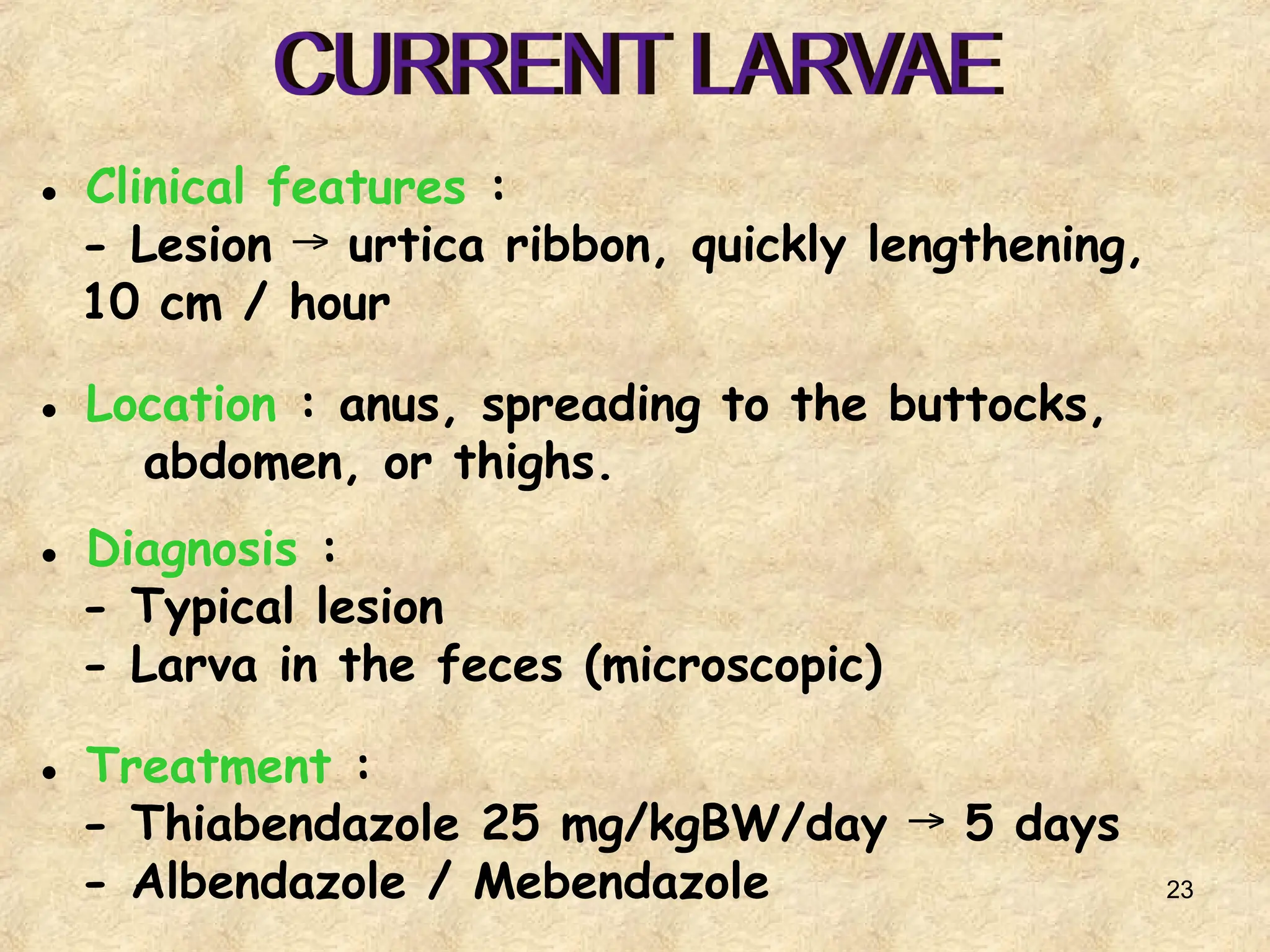 23
● Clinical features :
- Lesion urtica ribbon, quickly lengthening,
→
10 cm / hour
● Location : anus, spreading to the buttocks,
abdomen, or thighs.
● Diagnosis :
- Typical lesion
- Larva in the feces (microscopic)
● Treatment :
- Thiabendazole 25 mg/kgBW/day 5 days
→
- Albendazole / Mebendazole
 