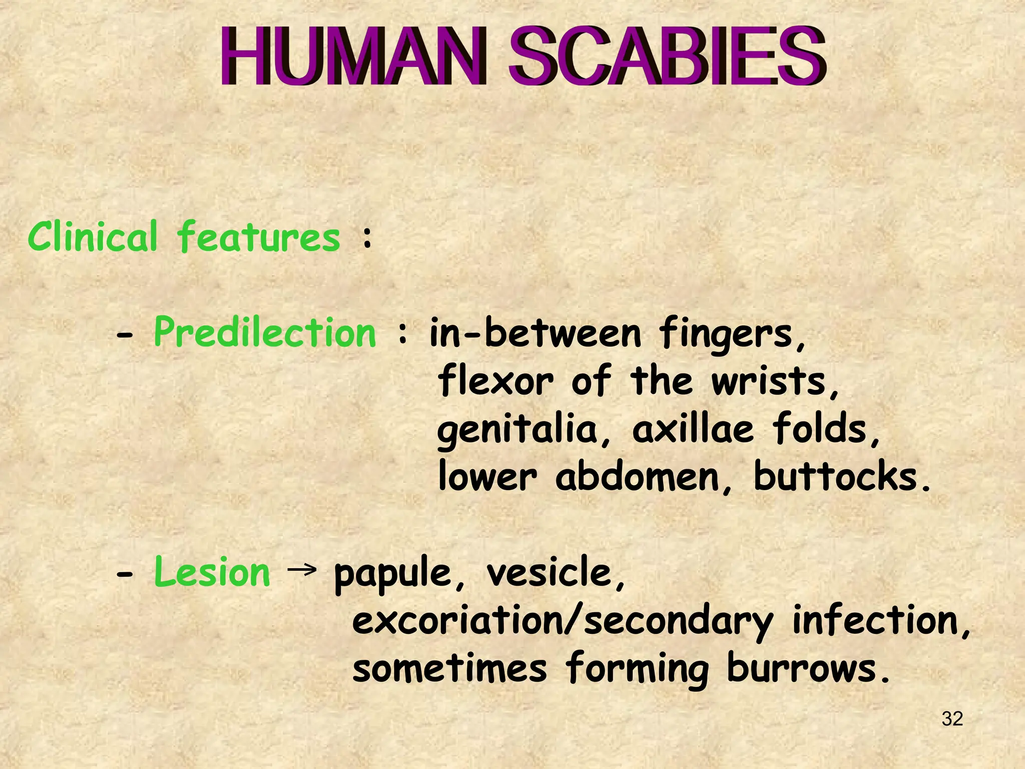 32
Clinical features :
- Predilection : in-between fingers,
flexor of the wrists,
genitalia, axillae folds,
lower abdomen, buttocks.
- Lesion papule, vesicle,
→
excoriation/secondary infection,
sometimes forming burrows.
 