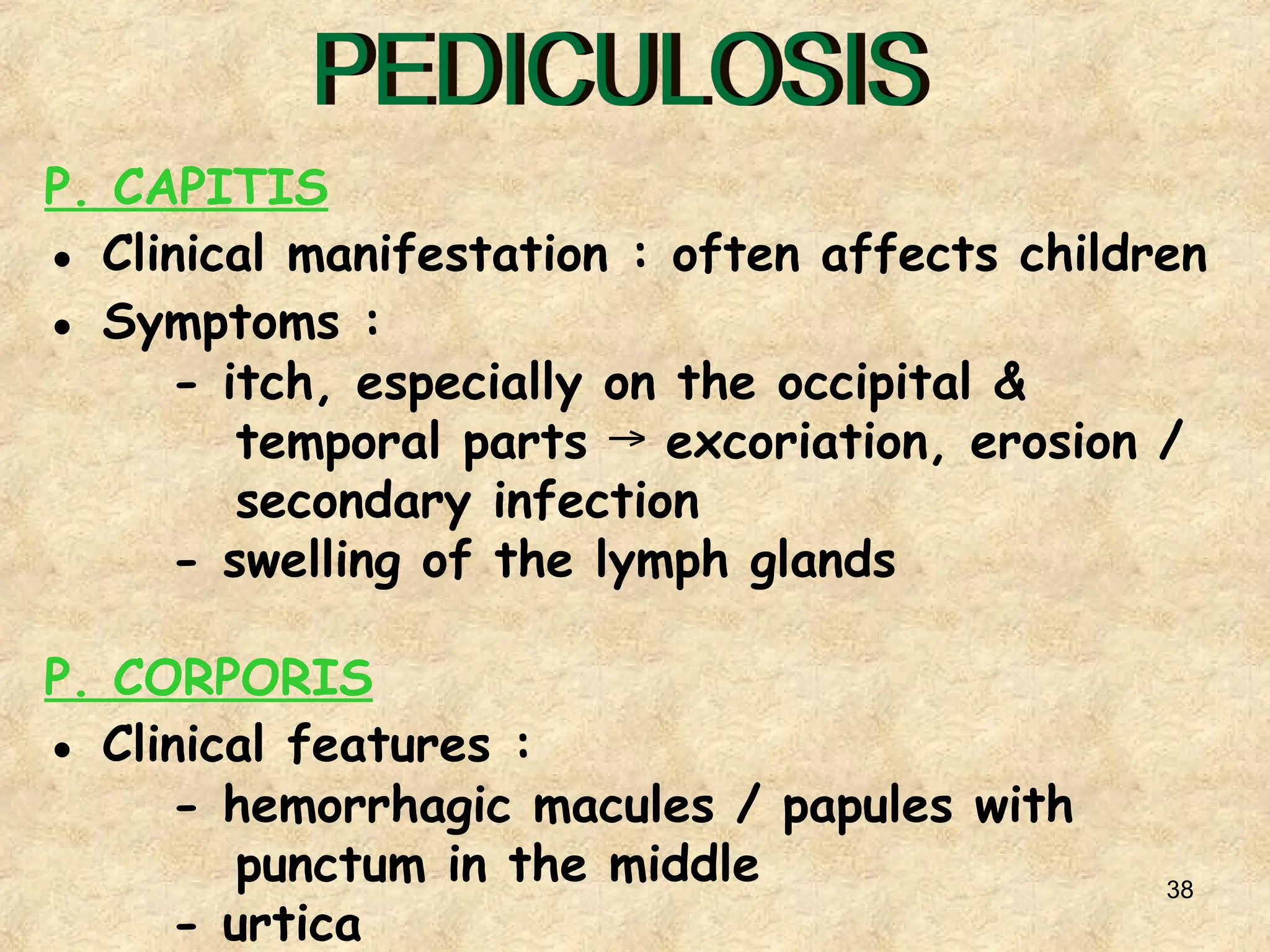 38
P. CAPITIS
● Clinical manifestation : often affects children
● Symptoms :
- itch, especially on the occipital &
temporal parts excoriation, erosion /
→
secondary infection
- swelling of the lymph glands
P. CORPORIS
● Clinical features :
- hemorrhagic macules / papules with
punctum in the middle
- urtica
 