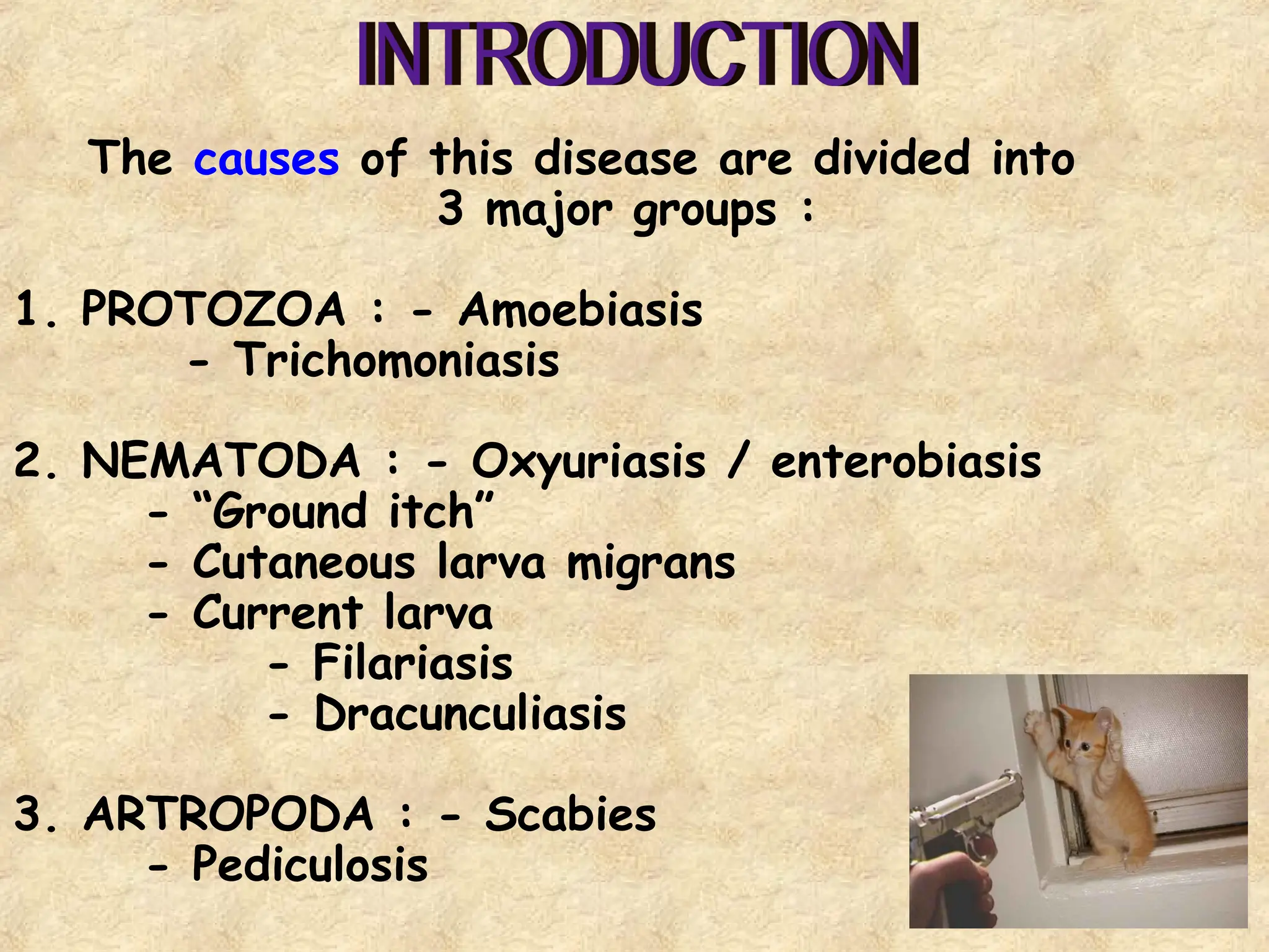4
The causes of this disease are divided into
3 major groups :
1. PROTOZOA : - Amoebiasis
- Trichomoniasis
2. NEMATODA : - Oxyuriasis / enterobiasis
- “Ground itch”
- Cutaneous larva migrans
- Current larva
- Filariasis
- Dracunculiasis
3. ARTROPODA : - Scabies
- Pediculosis
 