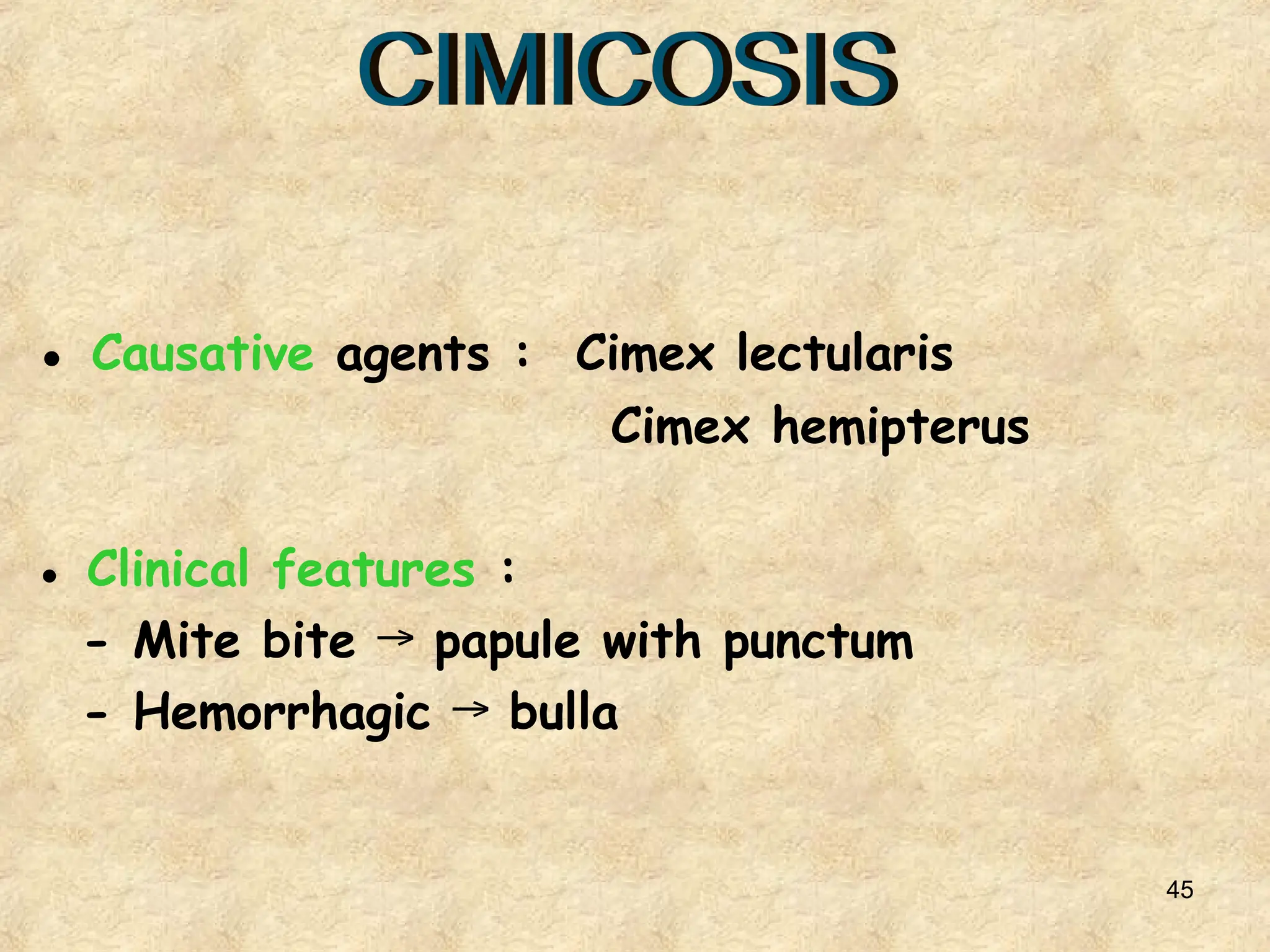 45
● Causative agents : Cimex lectularis
Cimex hemipterus
● Clinical features :
- Mite bite papule with punctum
→
- Hemorrhagic bulla
→
 