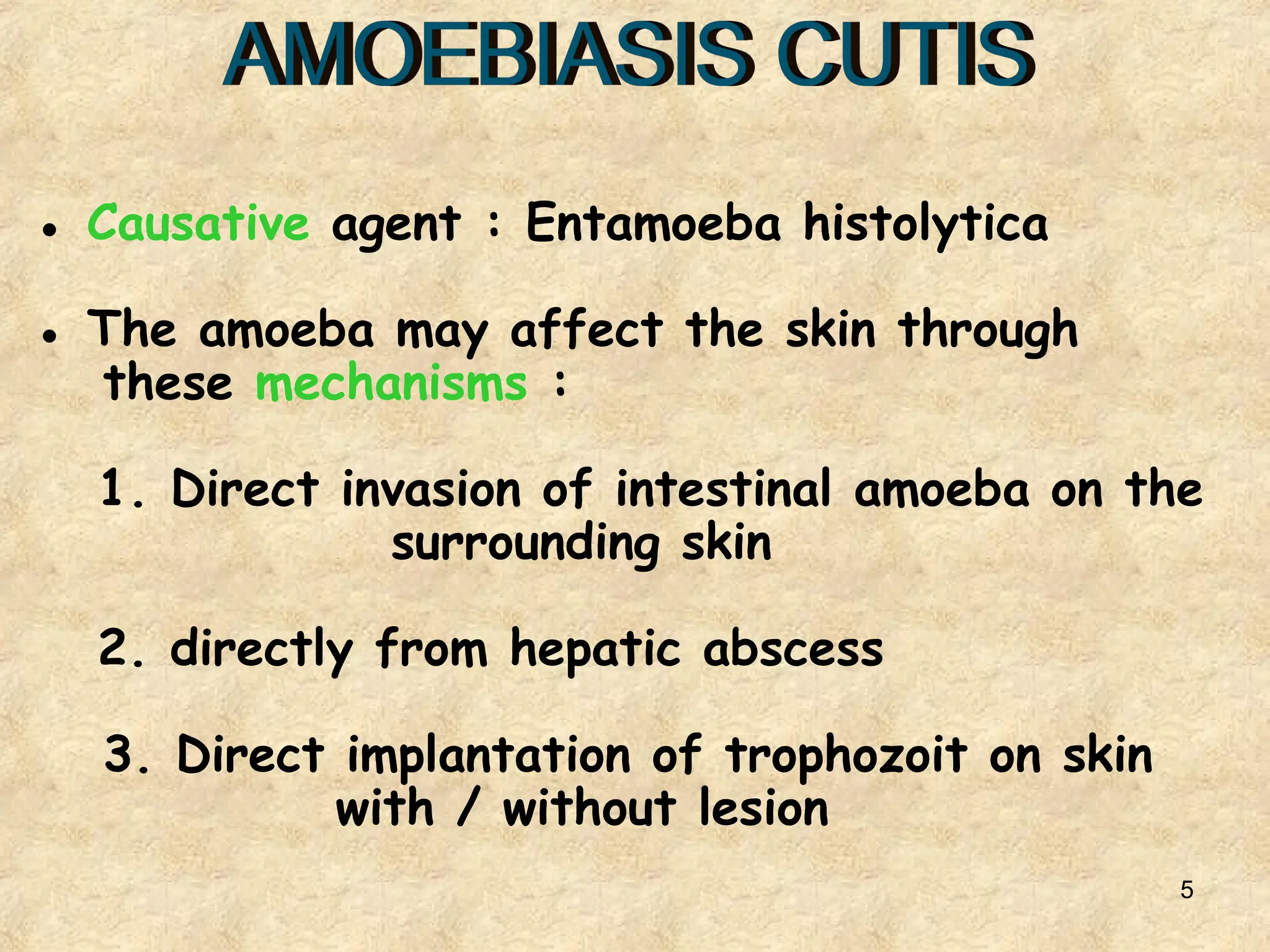 5
● Causative agent : Entamoeba histolytica
● The amoeba may affect the skin through
these mechanisms :
1. Direct invasion of intestinal amoeba on the
surrounding skin
2. directly from hepatic abscess
3. Direct implantation of trophozoit on skin
with / without lesion
 