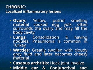 Fluids Putrid 13. Fowl Cholera.ppt748937595757957957597 | PPT