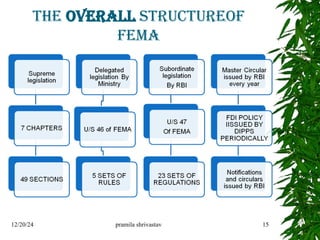 The Overall Structureof
FEMA
12/20/24 pramila shrivastav 15
 