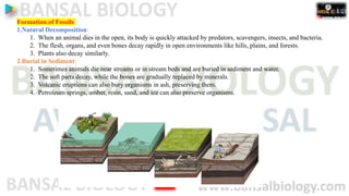 13. evolution Fossils_67563806_2025_09_23_09_39.pdf
