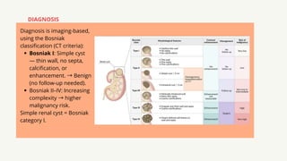 QUISTE SIMPLE RENAL RENAL SEMIOLOGY MEDICINA | PDF
