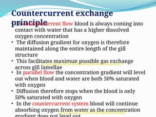Gas exchanges in animals and plants biology | PPTX