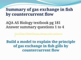 Gas exchanges in animals and plants biology | PPTX
