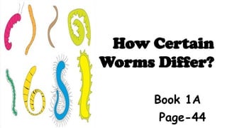Worm Order Comparative Study of Nematodes, Platyhelminthes, and Annelids: Worm ...