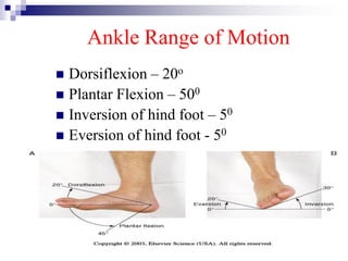 Comprehensive Assessment of the Musculoskeletal System in Nursing ...