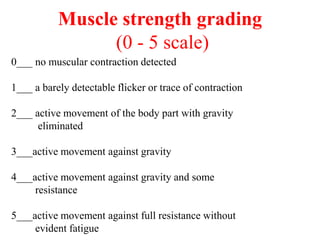 Musclularity Scale Comprehensive Assessment of the Musculoskeletal System in Nursing ...