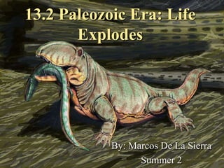 13.2 Paleozoic Era: Life Explodes By: Marcos De La Sierra  Summer 2 