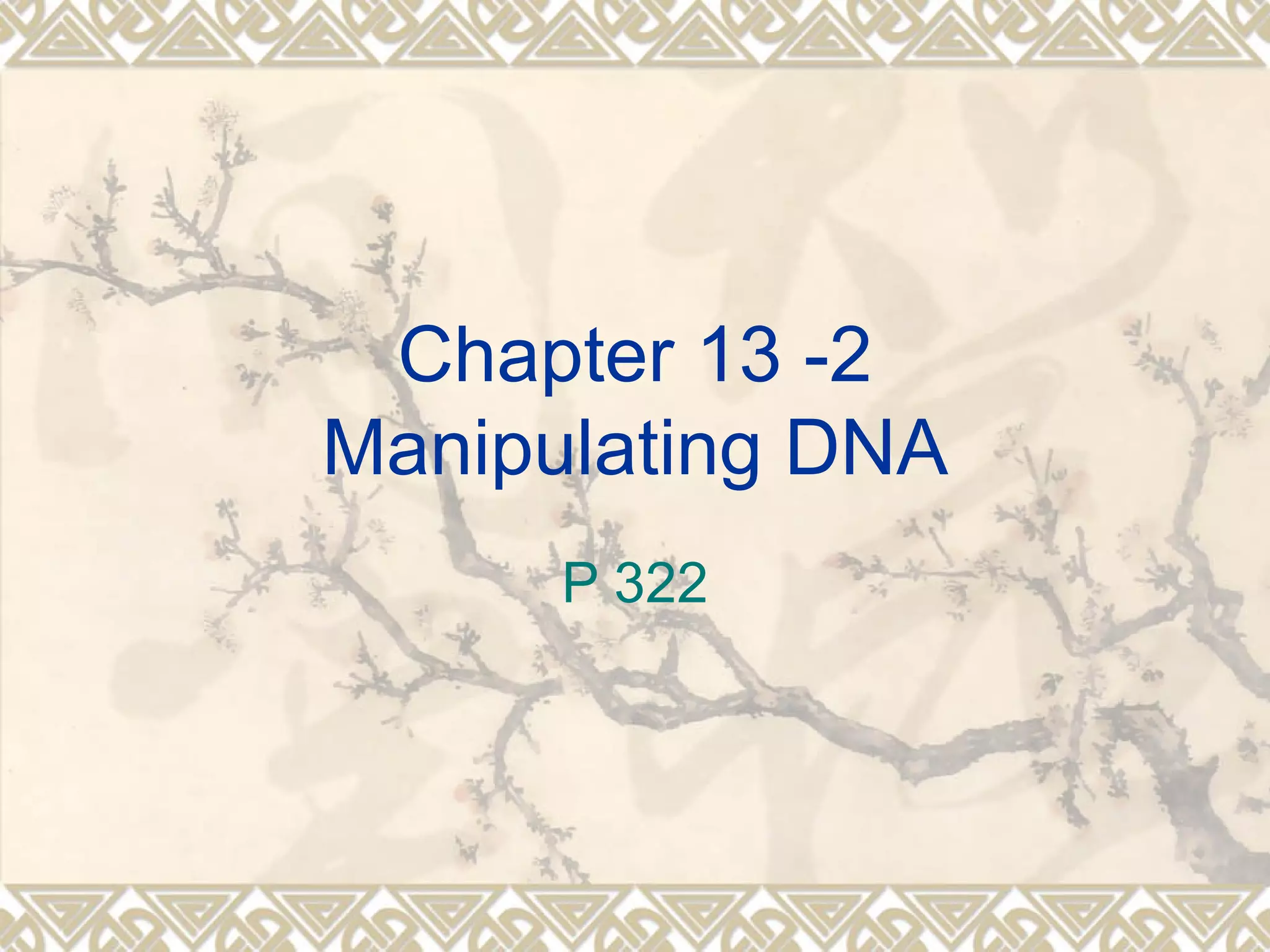 132 manipulating DNA PPT