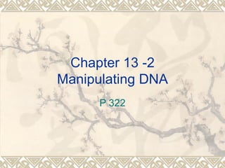 Chapter 13 -2
Manipulating DNA
      P 322
 