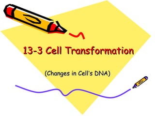 13-3 Cell Transformation

    (Changes in Cell’s DNA)
 