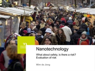 Nanotechnology What about safety, is there a risk?  Evaluation of risk Wim de Jong 