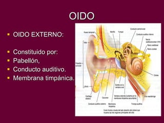 OIDO OIDO EXTERNO: Constituido por: Pabellón, Conducto auditivo. Membrana timpánica. 