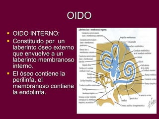 OIDO OIDO INTERNO: Constituido por  un laberinto óseo externo que envuelve a un laberinto membranoso interno.  El óseo contiene la perilinfa, el membranoso contiene la endolinfa. 