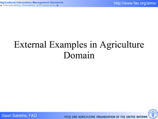 External Examples in Agriculture Domain 