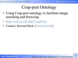 Crop-pest Ontology Using Crop-pest ontology to facilitate image searching and browsing http://orb.at.ufl.edu/CropPest   Contact: Howard Beck { [email_address] } 