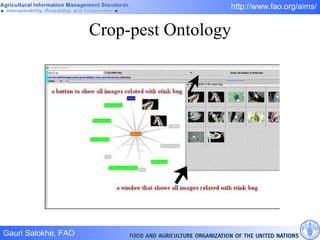 Crop-pest Ontology 