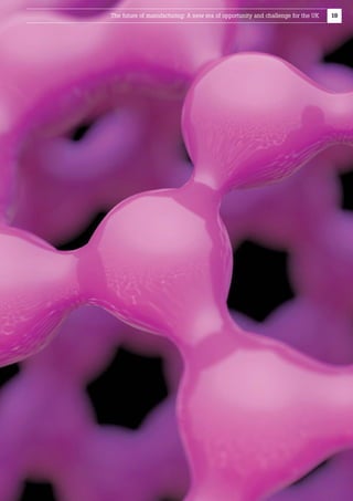 The future of manufacturing: A new era of opportunity and challenge for the UK

19

 