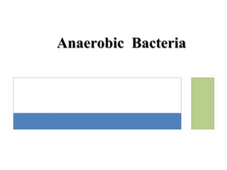 Anaerobic BacteriaAnaerobic Bacteria
 