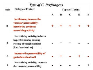 toxintoxin Biological FeatureBiological Feature Types of ToxinsTypes of Toxins
AA BB CC DD EE
αα
lecithinase; increase thelecithinase; increase the
vascular permeability;vascular permeability;
hemolytic; produceshemolytic; produces
necrotizing activitynecrotizing activity
++ ++ ++ ++ ++
ββ
Necrotizing activity, inducesNecrotizing activity, induces
hypertension by causinghypertension by causing
release of catecholaminesrelease of catecholamines
[kət 'kə ləmi nz]ɪ ʊ ː[kət 'kə ləmi nz]ɪ ʊ ː ..
－－ ++ ++ －－ －－
εε
increase the permeability ofincrease the permeability of
gastrointestinal wallgastrointestinal wall －－ ++ －－ ++ －－
ττ
Necrotizing activity; increaseNecrotizing activity; increase
the vascular permeabilitythe vascular permeability －－ －－ －－ －－ ++
Type of C. Perfringens
 