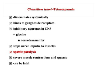 Clostridium tetaniClostridium tetani --TetanospasminTetanospasmin
※※ disseminates systemicallydisseminates systemically
※※ binds to ganglioside receptorsbinds to ganglioside receptors
※※ inhibitory neurones in CNSinhibitory neurones in CNS
△△ glycineglycine
■■ neurotransmitterneurotransmitter
※※ stops nerve impulse to musclesstops nerve impulse to muscles
※※ spastic paralysisspastic paralysis
※※ severe muscle contractions and spasmssevere muscle contractions and spasms
※※ can be fatalcan be fatal
 