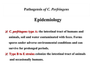 EpidemiologyEpidemiology
※※ C. perfringensC. perfringens type A:type A: the intestinal tract of humans andthe intestinal tract of humans and
animals, soil and water contaminated with feces. Formsanimals, soil and water contaminated with feces. Forms
spores under adverse environmental conditions and canspores under adverse environmental conditions and can
survive for prolonged periods.survive for prolonged periods.
※※ Type B to E strainsType B to E strains colonize the intestinal tract of animalscolonize the intestinal tract of animals
and occasionally humans.and occasionally humans.
Pathogensis of C. Perfringens
 