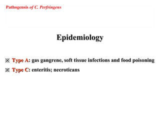 EpidemiologyEpidemiology
※※ Type AType A: gas gangrene, soft tissue infections and food poisoning: gas gangrene, soft tissue infections and food poisoning
※※ Type CType C: enteritis; necroticans: enteritis; necroticans
Pathogensis of C. Perfringens
 