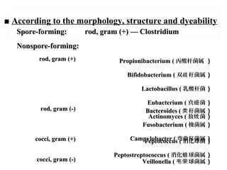 Spore-forming:Spore-forming: rod, gram (+) — Clostridiumrod, gram (+) — Clostridium
Nonspore-forming:Nonspore-forming:
rod, gram (+)rod, gram (+) Propionibacterium (Propionibacterium ( 丙酸杆菌属 )
Bifidobacterium (Bifidobacterium ( 双 杆菌属歧 )
Lactobacillus (Lactobacillus ( 乳酸杆菌 )
Eubacterium (Eubacterium ( 真 菌细 )
Actinomyces (Actinomyces ( 放 菌线 )
rod, gram (-)rod, gram (-) Bacteroides (Bacteroides ( 杆菌属类 )
Fusobacterium (Fusobacterium ( 梭菌属 )
Campylobacter (Campylobacter ( 弯曲杆菌属 )cocci, gram (+)cocci, gram (+) Peptococcus (Peptococcus ( 消化球菌 )
Peptostreptococcus (Peptostreptococcus ( 消化 球菌属链 )
cocci, gram (-)cocci, gram (-) Veillonella (Veillonella ( 球菌属韦荣 )
■ According to the morphology, structure and dyeability
 