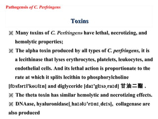 ToxinsToxins
※※ Many toxins ofMany toxins of C. Perfringens have lethal, necrotizing, andhave lethal, necrotizing, and
hemolytic properties;hemolytic properties;
※※ The alpha toxin produced by all types ofThe alpha toxin produced by all types of C. perfringens,C. perfringens, it isit is
a lecithinase that lyses erythrocytes, platelets, leukocytes, anda lecithinase that lyses erythrocytes, platelets, leukocytes, and
endothelial cells. And its lethal action is proportionate to theendothelial cells. And its lethal action is proportionate to the
rate at which it splits lecithin to phosphorylcholinerate at which it splits lecithin to phosphorylcholine
[f sfər l'ko l n] and diglyceride [da 'gl sə ra d]ɒ ɪ ʊ ɪ ɪ ɪ ˌ ɪ[f sfər l'ko l n] and diglyceride [da 'gl sə ra d]ɒ ɪ ʊ ɪ ɪ ɪ ˌ ɪ 甘油二酯甘油二酯 ..
※※ The theta toxin has similar hemolytic and necrotizing effects.The theta toxin has similar hemolytic and necrotizing effects.
※※ DNAase, hyaluronidase[ ha əl 'r n de s], collagenase areˌ ɪ ʊ ɒ ɪˌ ɪDNAase, hyaluronidase[ ha əl 'r n de s], collagenase areˌ ɪ ʊ ɒ ɪˌ ɪ
also producedalso produced
Pathogensis of C. Perfringens
 