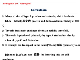 EnterotoxinEnterotoxin
※※ Many strains of type A produce enterotoxin, which is a heat-Many strains of type A produce enterotoxin, which is a heat-
labile ['le bəl]ɪlabile ['le bəl]ɪ 易变的易变的 protein and destroyed immediately at 100protein and destroyed immediately at 100
.℃.℃
※※ Trypsin treatment enhances the toxin activity threefold.Trypsin treatment enhances the toxin activity threefold.
※※ The toxin is produced primarily by type A strains but also byThe toxin is produced primarily by type A strains but also by
a few of type C and D strains.a few of type C and D strains.
※※ It disrupts ion transport in the ileum[' liəm]ɪIt disrupts ion transport in the ileum[' liəm]ɪ 回肠回肠 (primarily) and(primarily) and
jejunum [d 'd u nəm]ʒɪ ʒ ːjejunum [d 'd u nəm]ʒɪ ʒ ː 空肠空肠 by inserting into the cellby inserting into the cell
Pathogensis of C. Perfringens
 