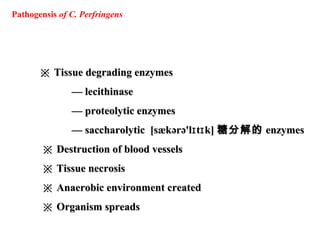 ※※ Tissue degrading enzymesTissue degrading enzymes
—— lecithinaselecithinase
—— proteolytic enzymesproteolytic enzymes
—— saccharolytic [sækərə'l t k]ɪ ɪsaccharolytic [sækərə'l t k]ɪ ɪ 糖分解的糖分解的 enzymesenzymes
※※ Destruction of blood vesselsDestruction of blood vessels
※※ Tissue necrosisTissue necrosis
※※ Anaerobic environment createdAnaerobic environment created
※※ Organism spreadsOrganism spreads
Pathogensis of C. Perfringens
 