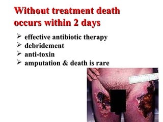 Without treatment deathWithout treatment death
occurs within 2 daysoccurs within 2 days
 effective antibiotic therapyeffective antibiotic therapy
 debridementdebridement
 anti-toxinanti-toxin
 amputation & death is rareamputation & death is rare
 