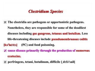 ※※ The clostridia are pathogens or opportunistic pathogens.The clostridia are pathogens or opportunistic pathogens.
Nonetheless, they are responsible for some of the deadliestNonetheless, they are responsible for some of the deadliest
diseases includingdiseases including gas gangrene, tetanus and botulismgas gangrene, tetanus and botulism. Less. Less
life-threatening diseases includelife-threatening diseases include pseudomembranous colitispseudomembranous colitis
[kə'la t s]ɪ ɪ[kə'la t s]ɪ ɪ (PC) and food poisoning.(PC) and food poisoning.
※※ cause disease primarily through the production ofcause disease primarily through the production of numerousnumerous
exotoxins.exotoxins.
※※ perfringens, tetani, botulinum, difficile [ d fə'sail]ˌ ɪperfringens, tetani, botulinum, difficile [ d fə'sail]ˌ ɪ
Clostridium SpeciesClostridium Species
 