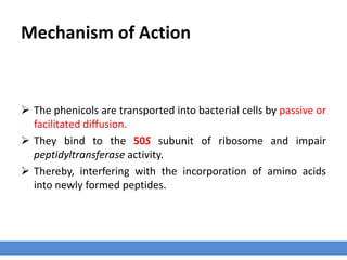 Mechanism of Action
 The phenicols are transported into bacterial cells by passive or
facilitated diffusion.
 They bind to the 50S subunit of ribosome and impair
peptidyltransferase activity.
 Thereby, interfering with the incorporation of amino acids
into newly formed peptides.
 